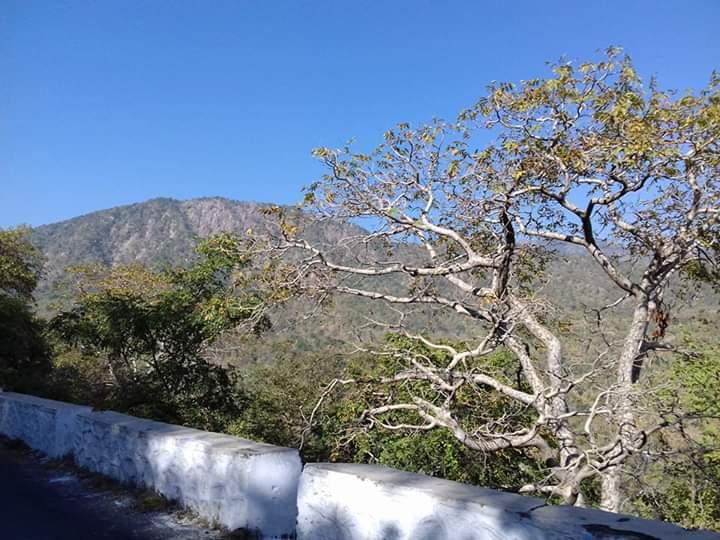 Nature study and environmental flwarevess S.T.C mount abu Rajasthan. 