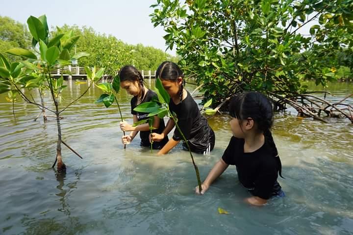 ร่วมกันปลูกป่า