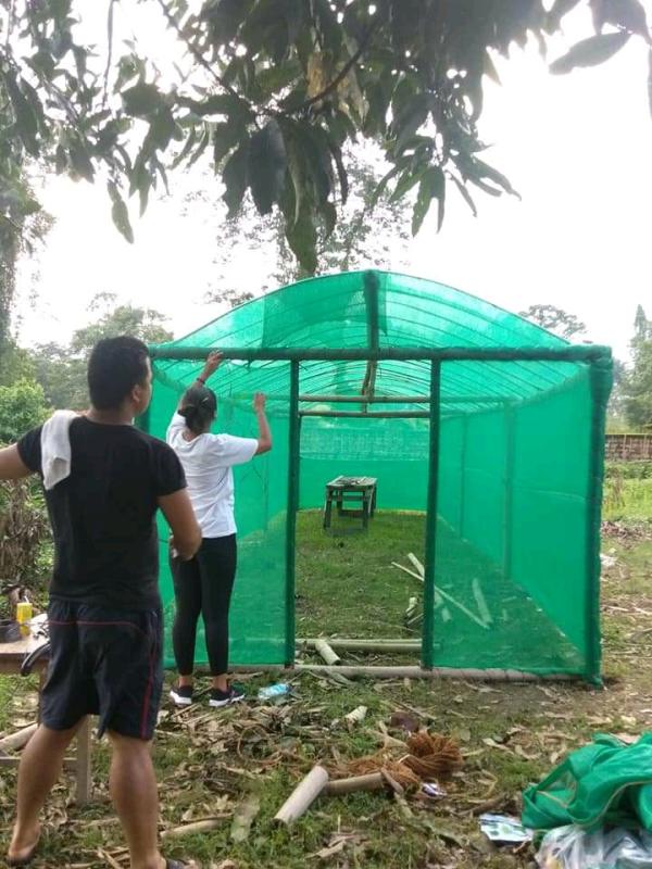 Nursery flower green house 