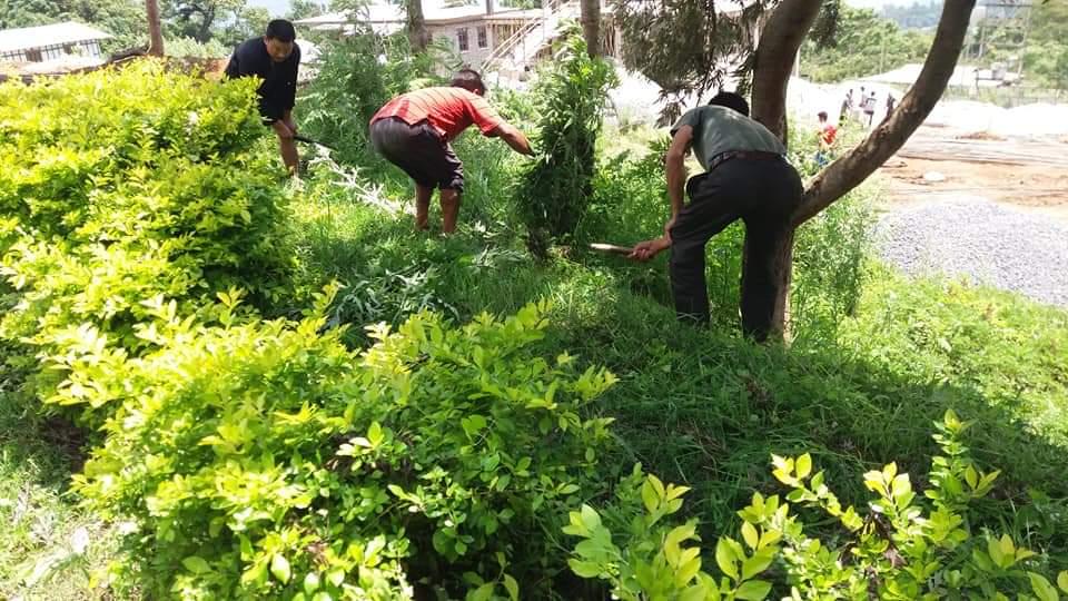 Highlight on social forestry day