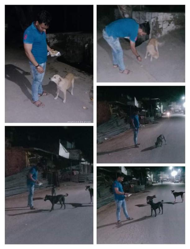 Feed Stray Animals
