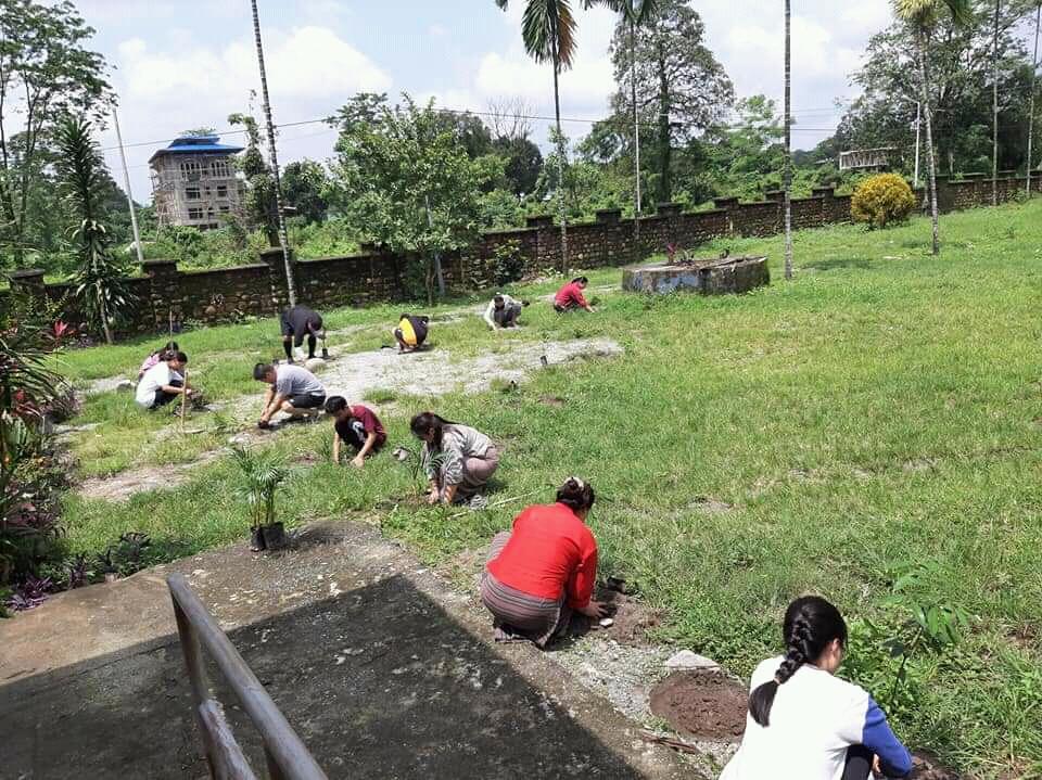 june 2 plantation