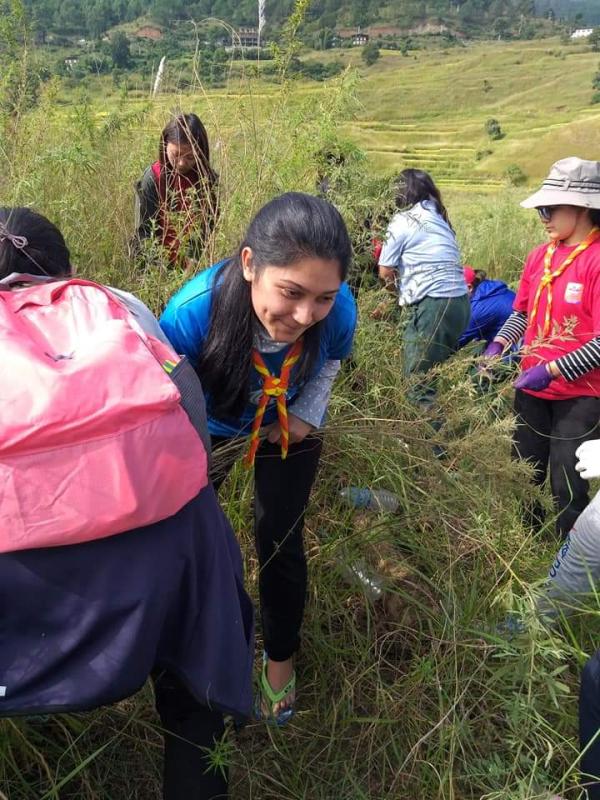 Marijuana uproot in Lobesa village