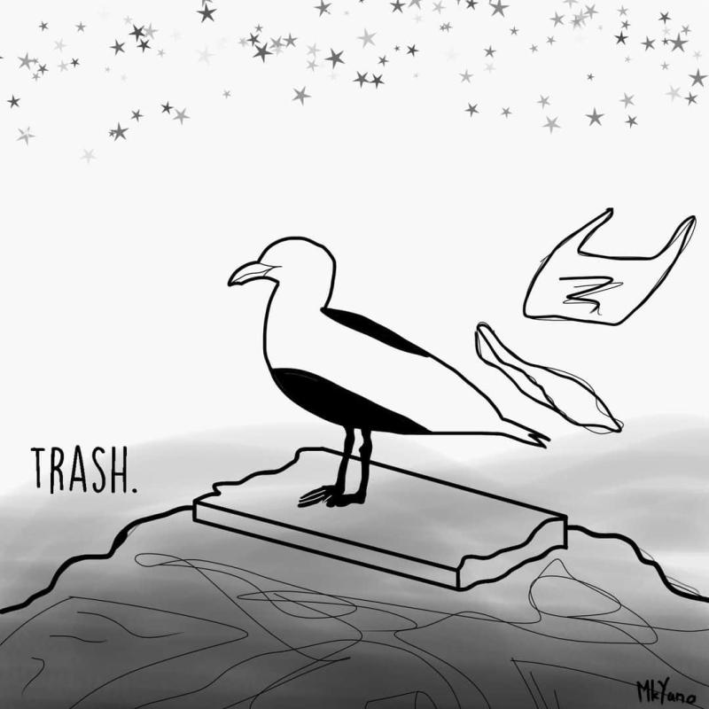 Tide Turners Plastic Challenge Creative Campaign Week 3