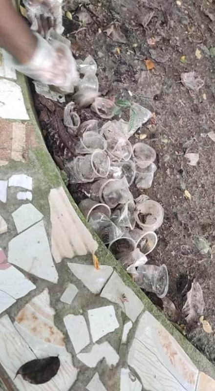 প্লাস্টিক বর্জ্য অপসারণ 