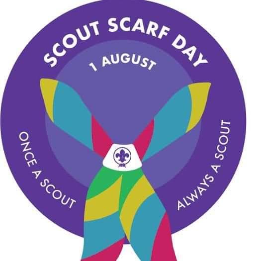 scouting sunrise day activity 1 (renew the promise and take a pledge)