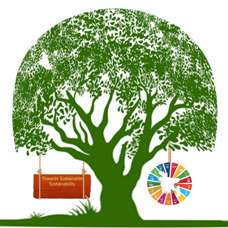 TOWARDS SUSTAINABLE SUSTAINIBILITY