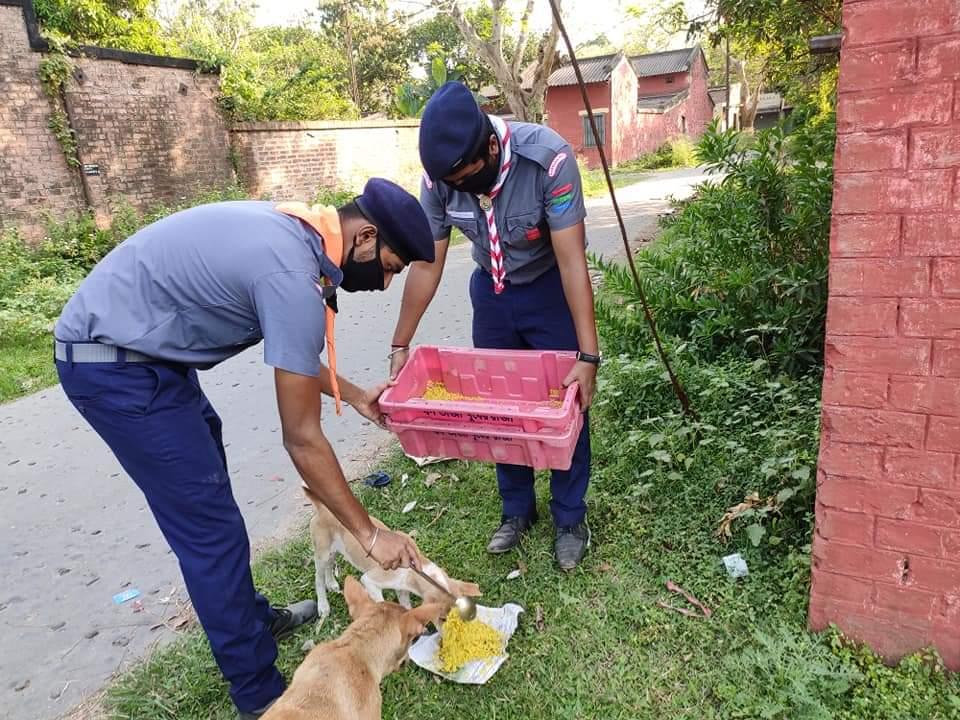ANIMALS FEEDING IN LOCKDOWN TIME