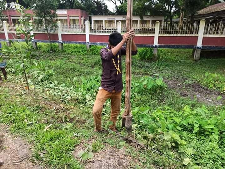 বৃক্ষরোপণ কর্মসূচি 