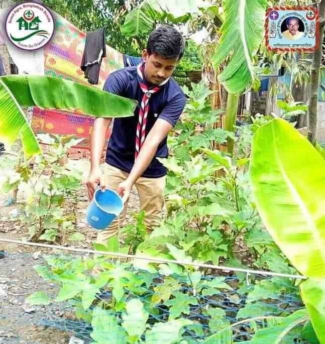 বৃক্ষ রুপন কর্মসূচি