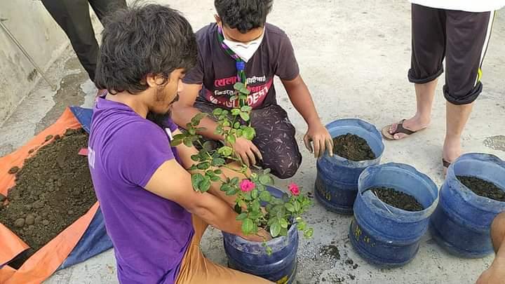 সানরাইজ ওপেন স্কাউট গ্রুপ এর উদ্যোগে বৃক্ষরোপণ