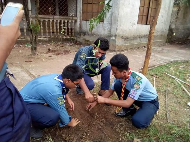 বৃক্ষরোপন কর্মসূচি ২০১৯