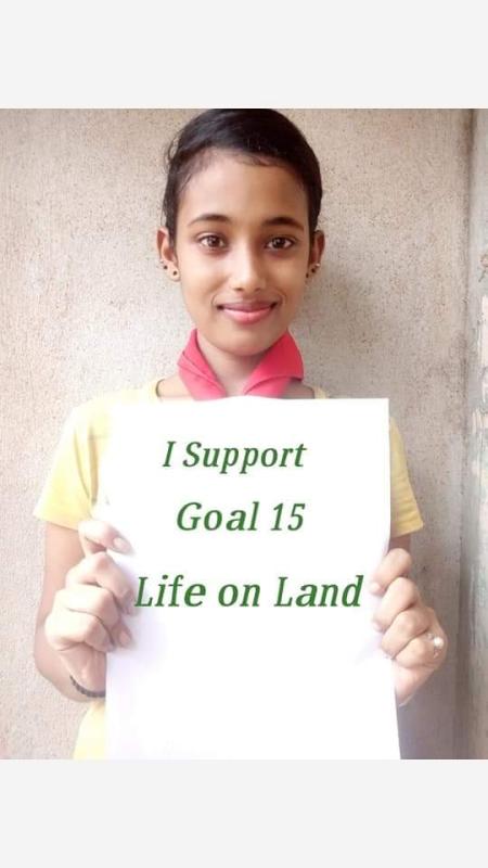 IDP 2020 ACTIETY 8.12 ACTIVITIES BASED ON SDGs