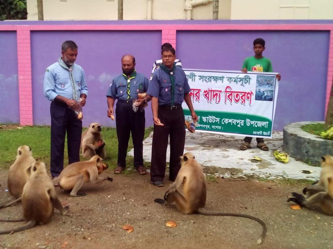 Wildlife Conservation Program (Hanuman's food)