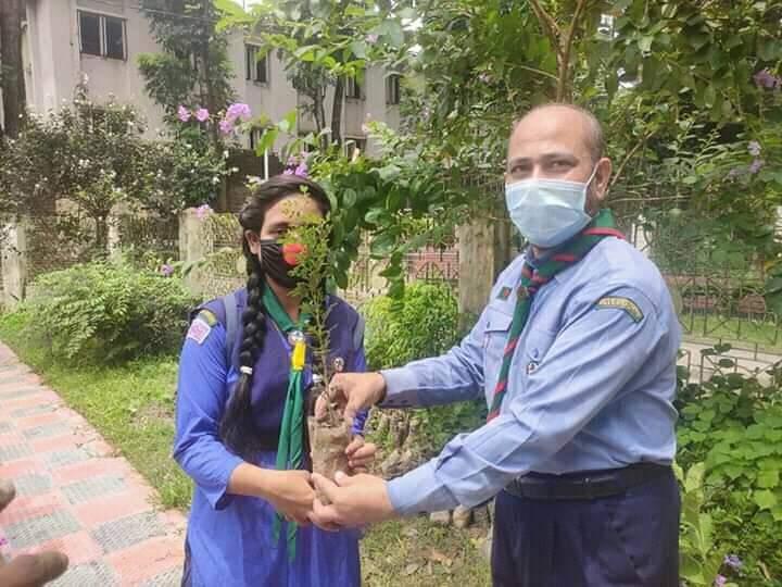 Tree Distribution & Plantation