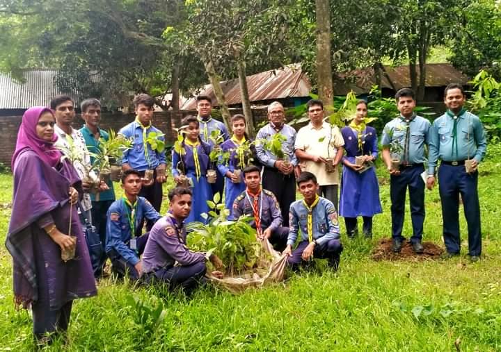 বৃক্ষ রোপণ কার্যক্রম