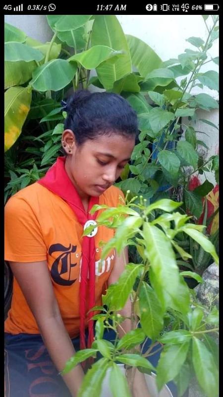 Plantation programme#1 International Peace day.