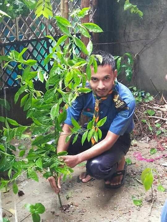 বৃক্ষ রোপন