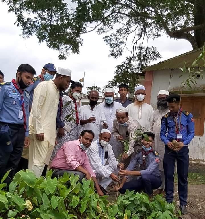 বৃক্ষ রোপণ কর্মসূচি 