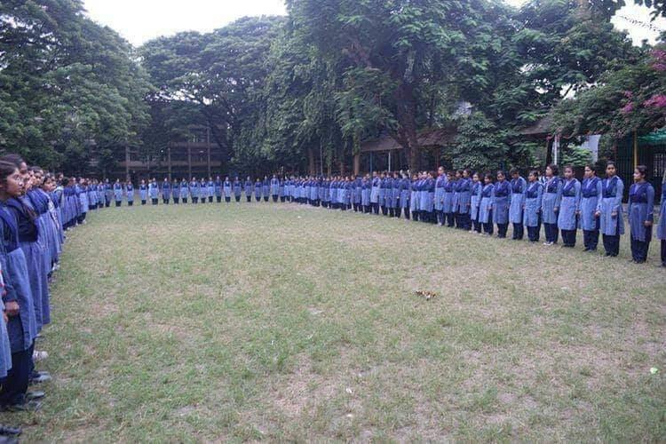 New Scouts 