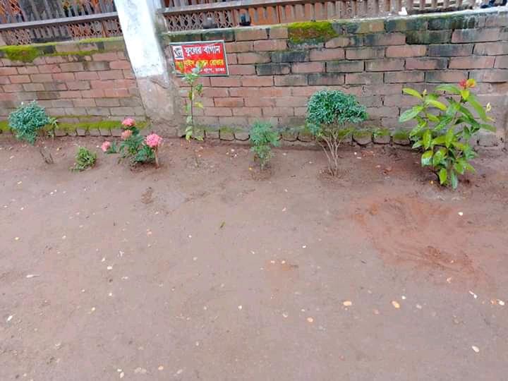 বাগান পরিচর্যা (৪র্থ দিন)