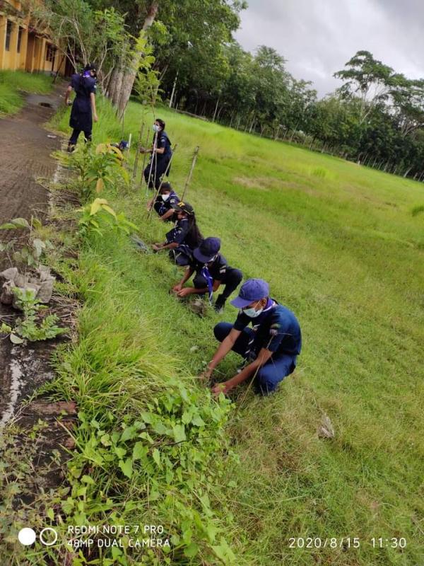 মংলা জেলা নৌ স্কাউটসের বৃক্ষ রোপণ কর্মসূচি 