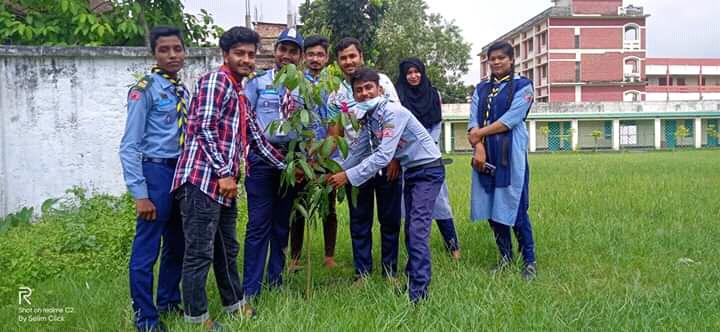 Tree  Plantation