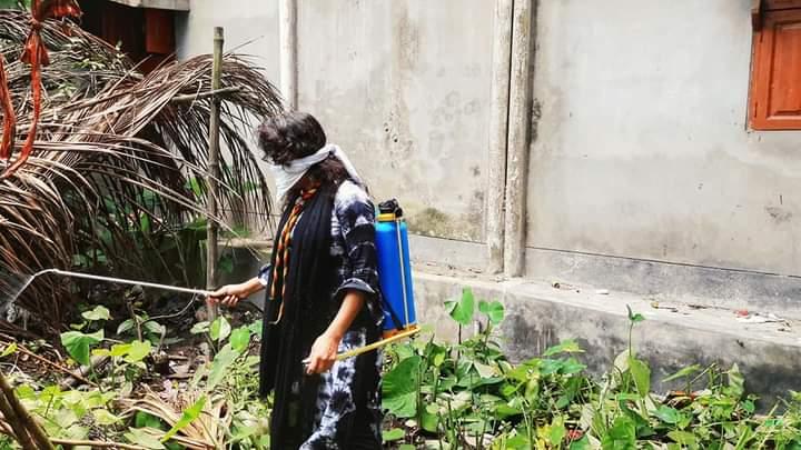 ডেঙ্গুর বাহক এডিস মশা নিধন