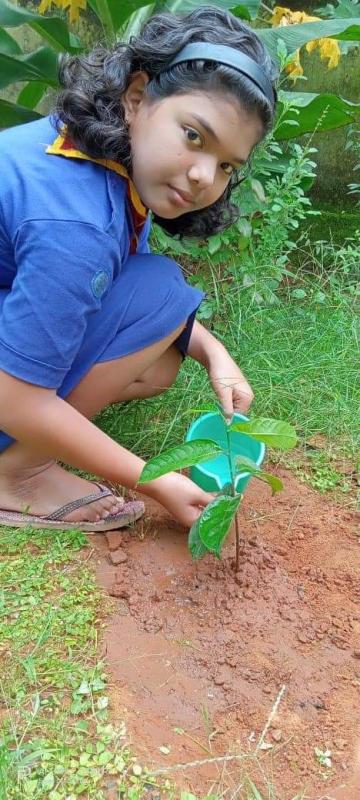 Plant a Tree plant a hope#9