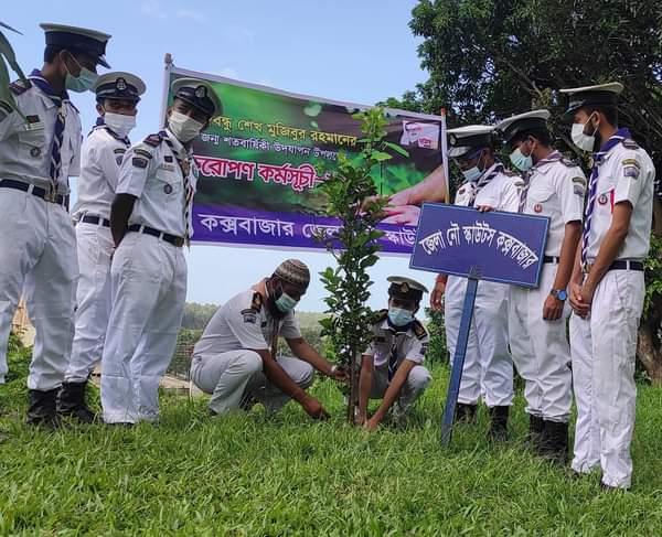 বৃক্ষরোপন কর্মসূচি