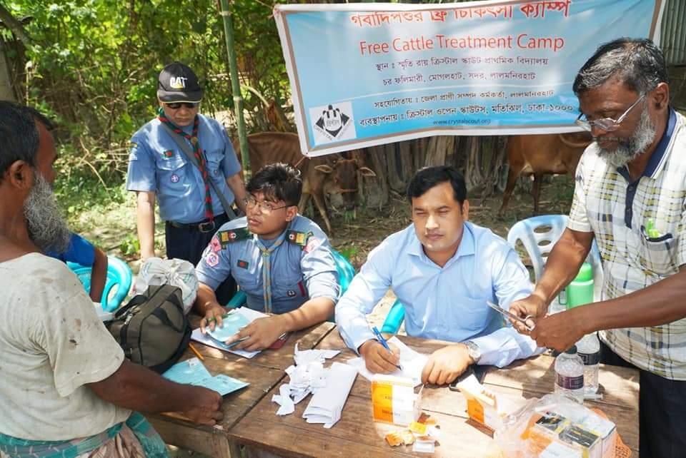 Free Cattle Treatment Camp by Crystal Open Scouts at Lalmonirhat 