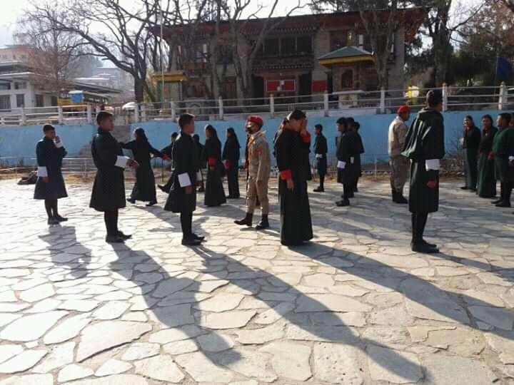 Youth programme and dreal 