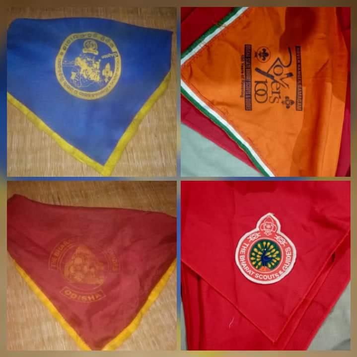 SCOUTING SUNRISE DAY GOOD TURN AT MY HOME 