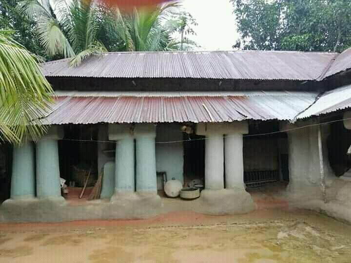 বাড়ির চারপাশ পরিষ্কার রাখি সব সময় সুস্থ থাকি।