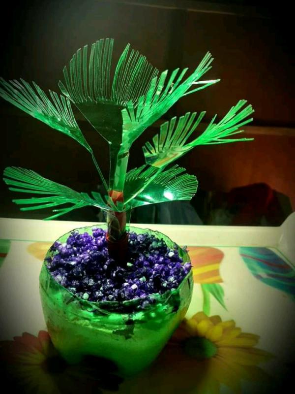 Plastic Tide Turners Challenge Badge,Bangladesh Scouts.