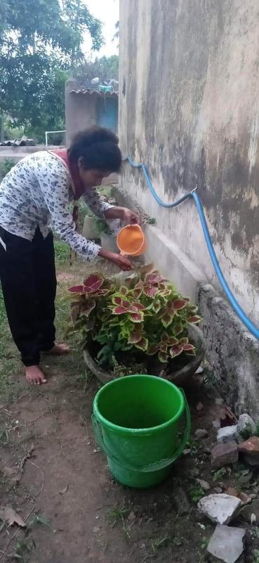 Plantation & Watering