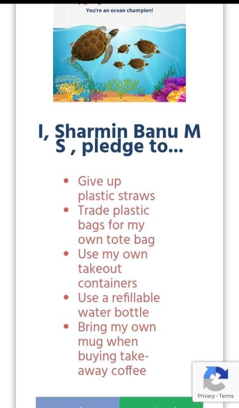 "LEARN THROUGH FUN-:Entry Level : Tide Turner's Plastic Challenge Badge (OFFLINE)  :BSG KARNATAKA _District Association Udupi. India. "