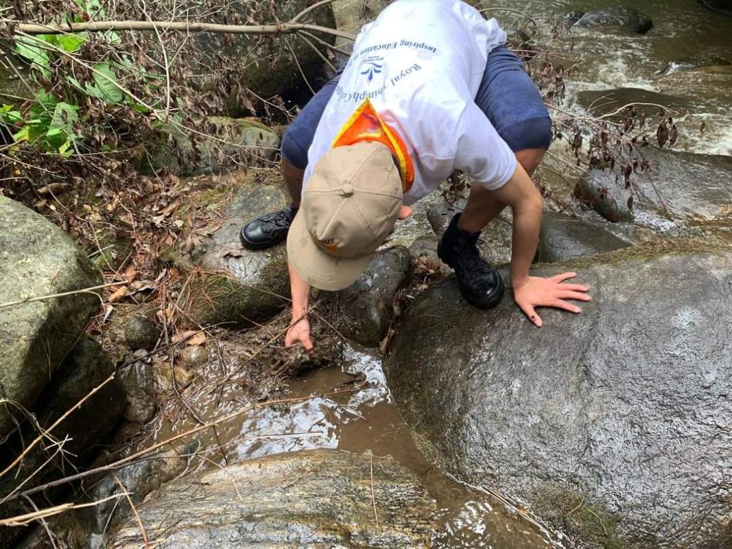 Stream cleaning activity