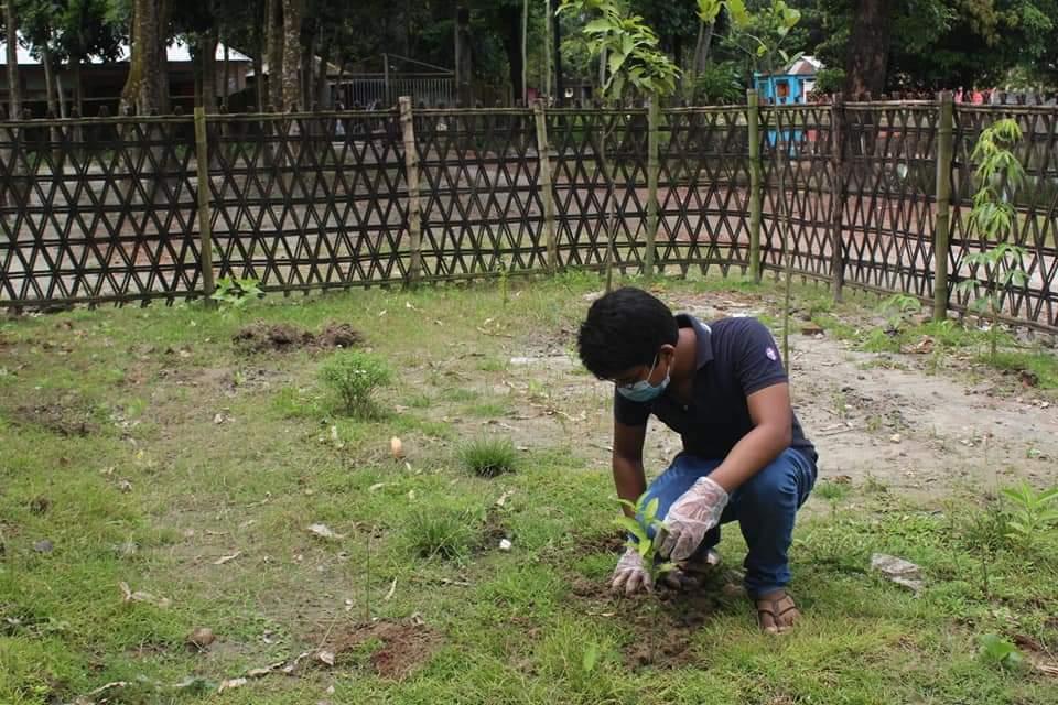 Tree plantation to reduce climate change 