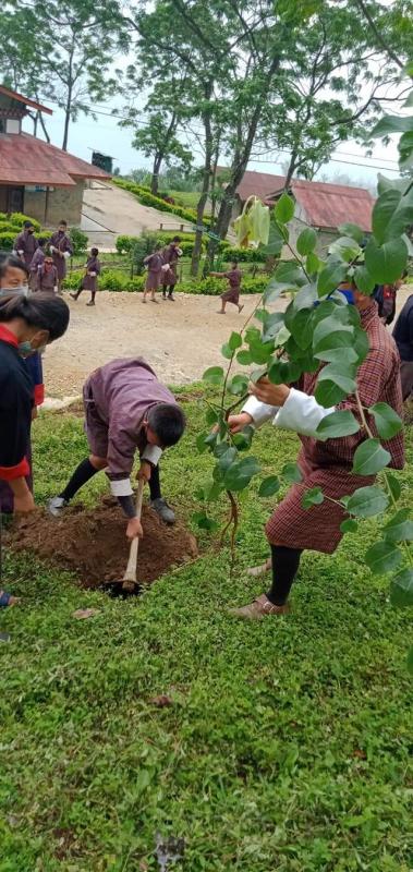 My contribution to combate Climate change during Environment week 