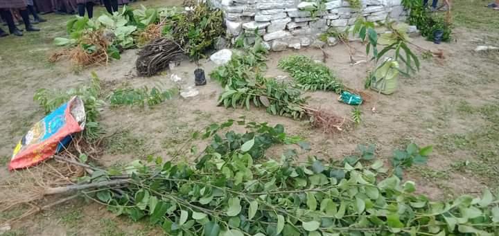 School scout Association celebrates World Environment Day