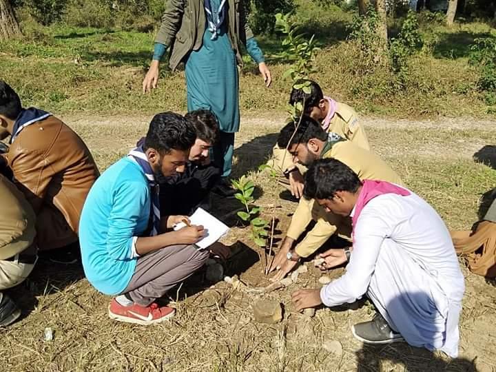 Plantation Drive