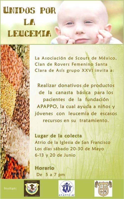 unidos por la leucemia
