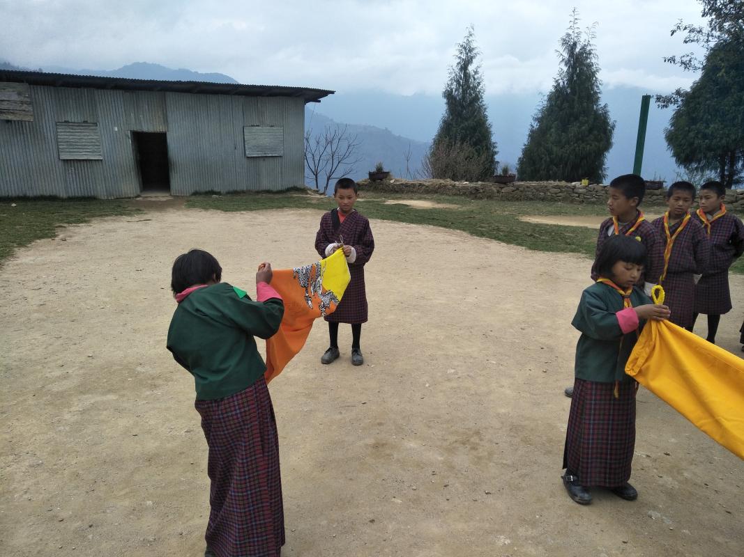 Educating on Flag Protocol