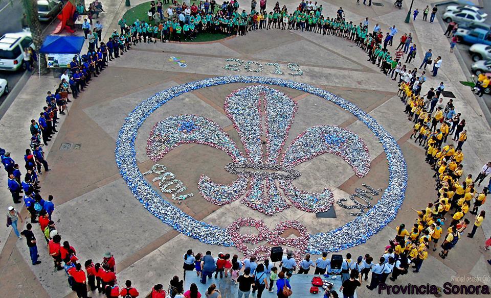 Flor de lis de latas Provincia Sonora 2015