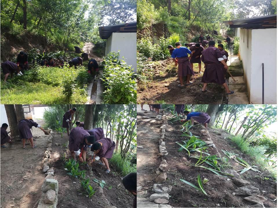 Flower garden development (4/6/2021)