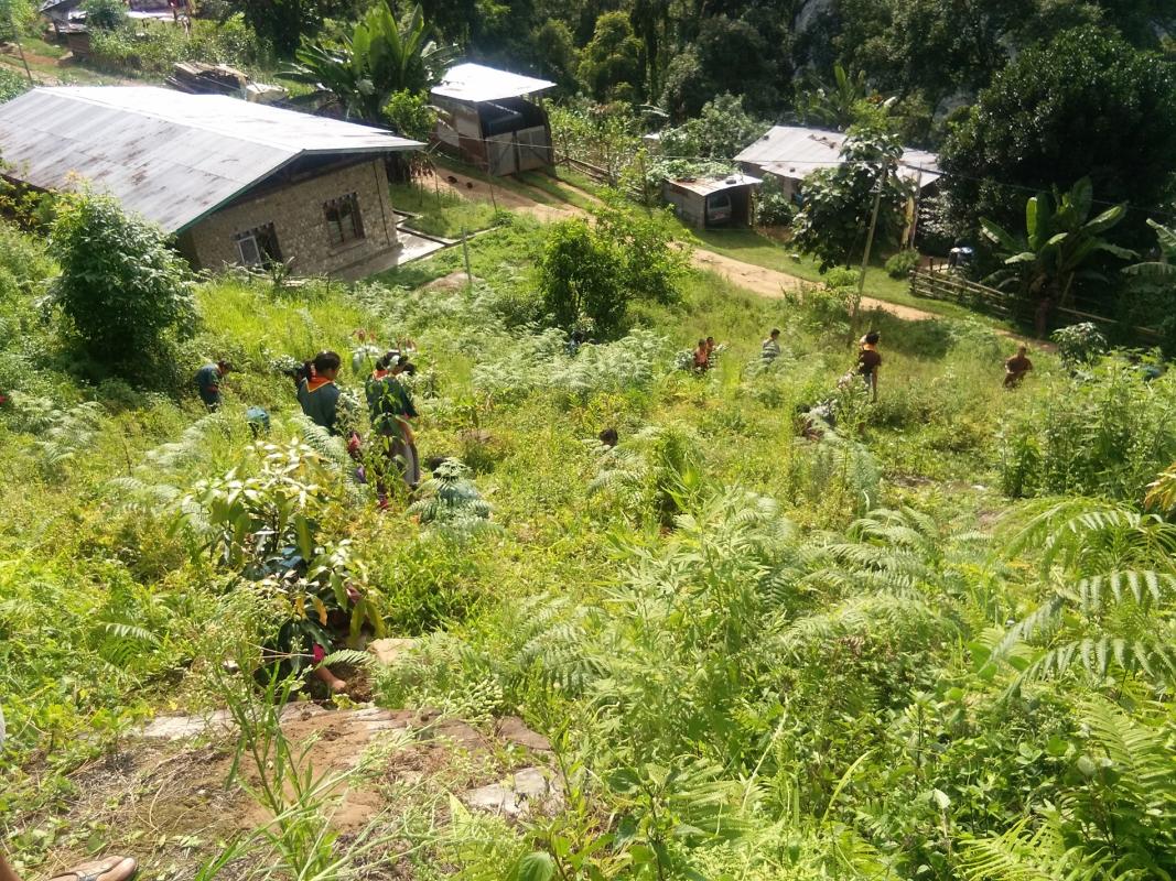Nurture nature and save the future