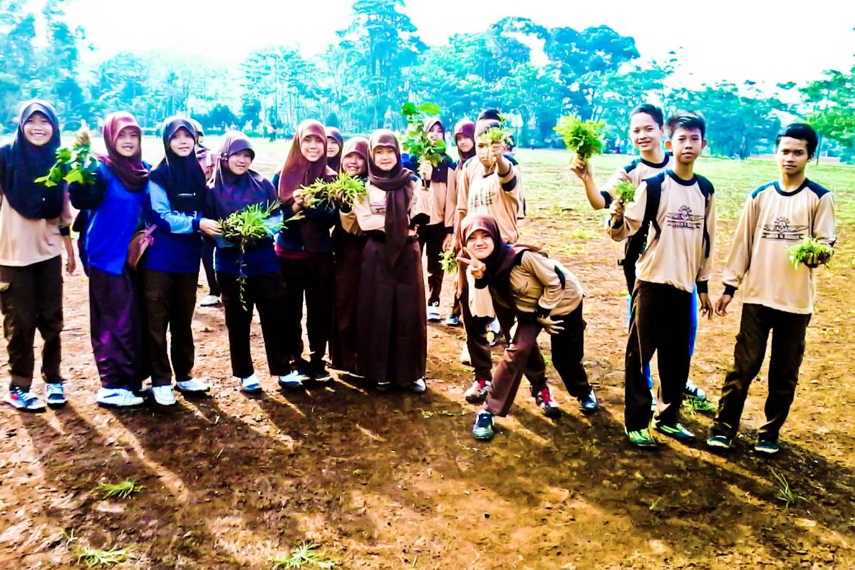 Planting Grass on the Field