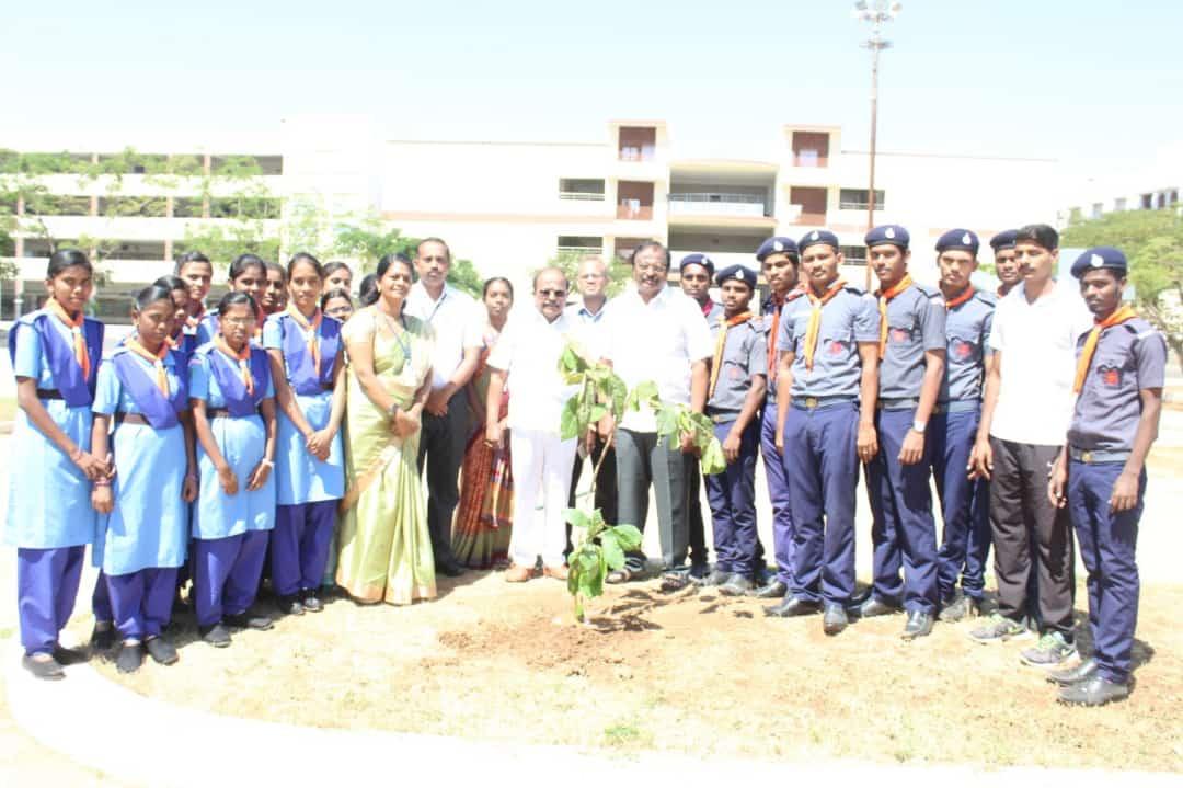 Planting trees