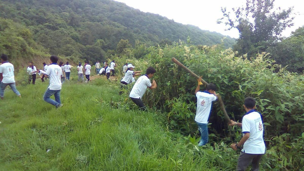 community development